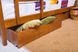 Кровать Олимп Амели двухъярусная 90x200, фото – 5
