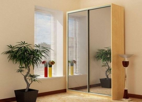 Шкаф - купе Luxe Studio Классик - 2 двухдверный 100x200x45 см - Тонированное зеркало