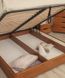 Ліжко Олімп Ассоль з підйомним механізмом 120x190, фото – 3