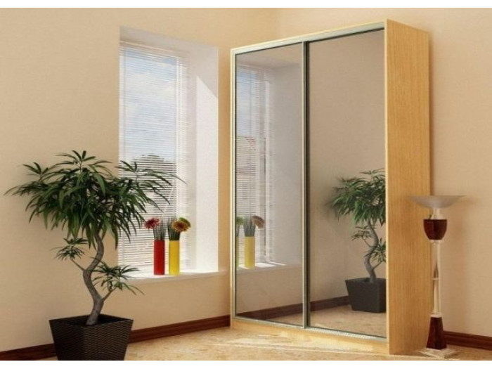 Шкаф - купе Luxe Studio Классик - 1 двухдверный 100x220x45 см - Тонированное зеркало
