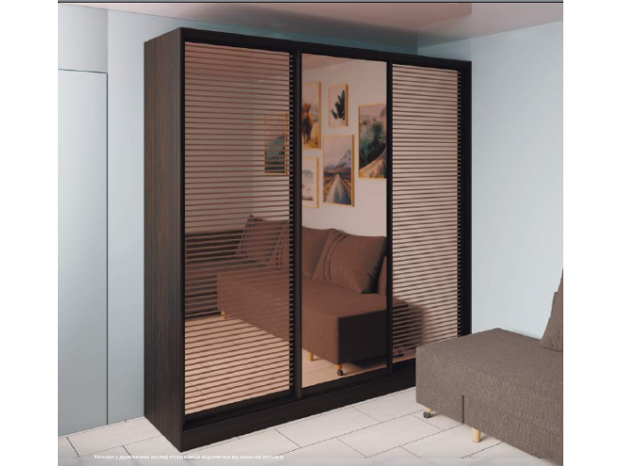 Шкаф - купе Luxe Studio Классик - 1 трехдверный 210x220x45 см - Тонированное зеркало