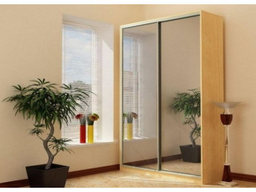 Шкаф - купе Luxe Studio Классик - 1 двухдверный 190x220x45 см - Тонированное зеркало