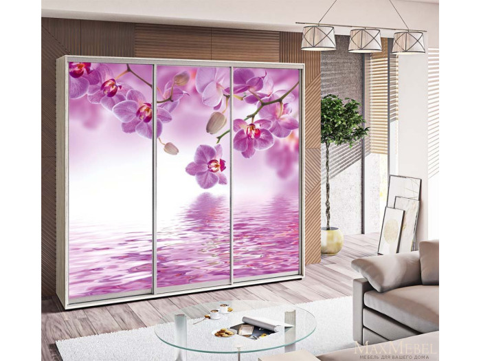 Шкаф - купе Luxe Studio Классик - 4 трехдверный 210x200x45 см - Фотопечать