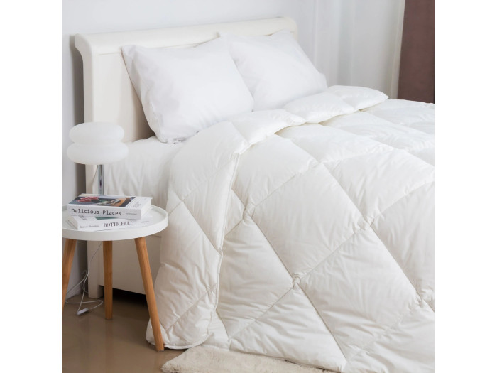 Ковдра TEP FRIENDLY ТЕП ЛЕБЕДИНИЙ ПУХ тік 150x210